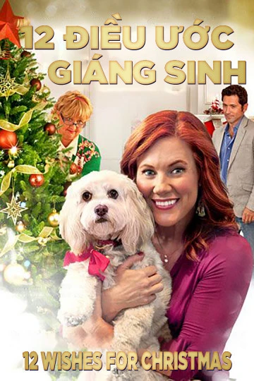 12 Điều Ước Giáng Sinh | 12 Wishes For Christmas (2011) 12 Điều Ước Giáng Sinh | 12 Wishes For Christmas (2011)