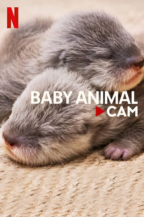 Động vật bé cưng trên camera | Baby Animal Cam (2023) Động vật bé cưng trên camera | Baby Animal Cam (2023)