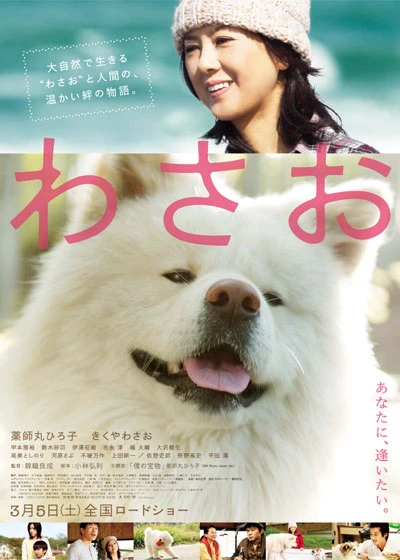 Wasao | Wasao (2011) Wasao | Wasao (2011)